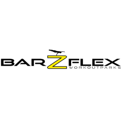 Logo_barzflex_3697.png