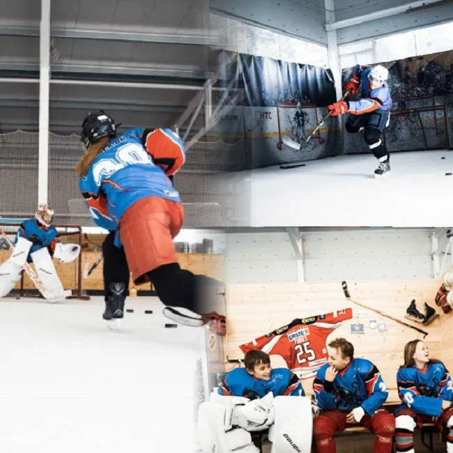 Hybridtraining3_on_ice_Like_Ice.jpg