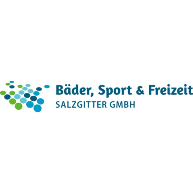 sfs salzgitter