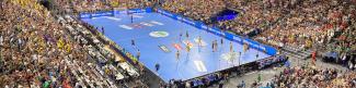 Gerflor Header